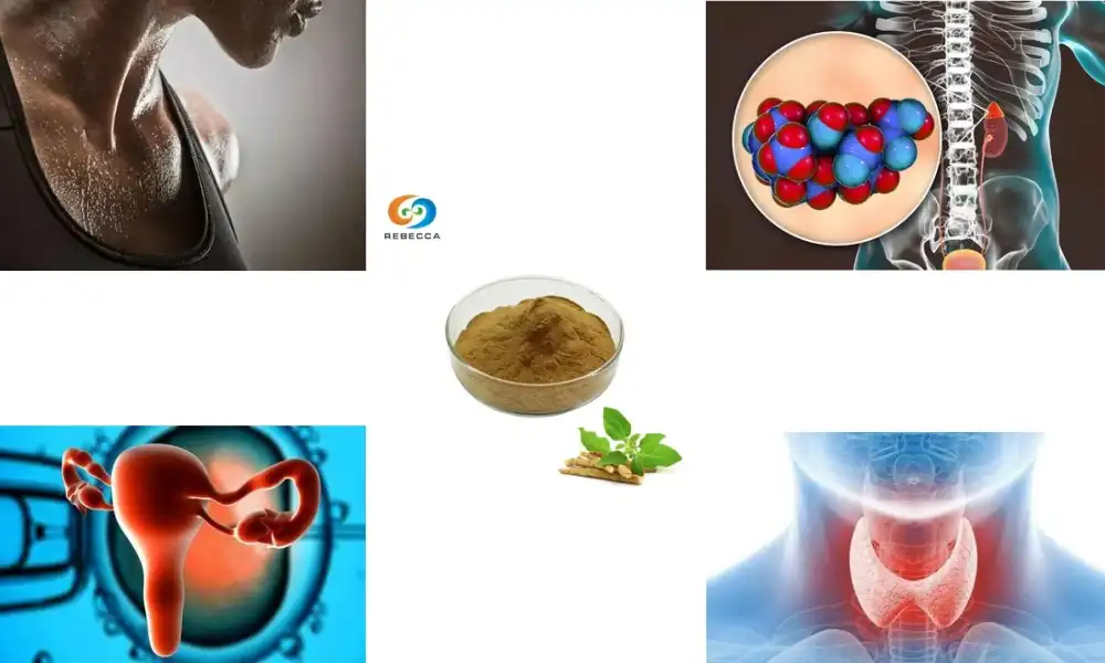 Ashwagandha Extract for Women’s Hormone Balance